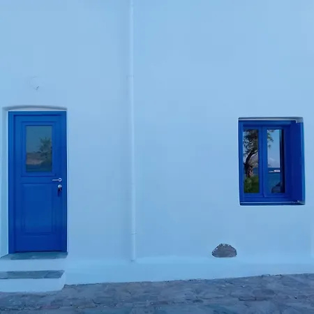 Volto